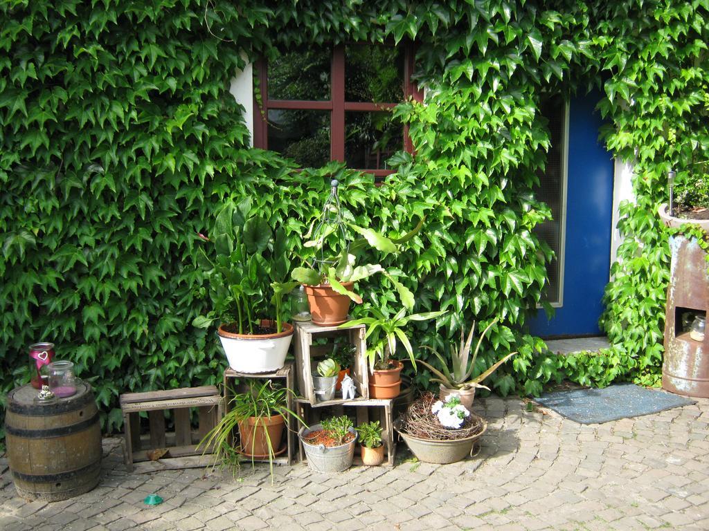 Stierstall-suite